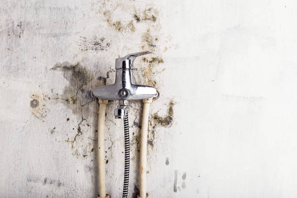 Best Residential Mold Remediation in Leander, TX