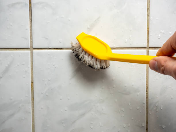 Best Post-Flood Mold Remediation in Leander, TX